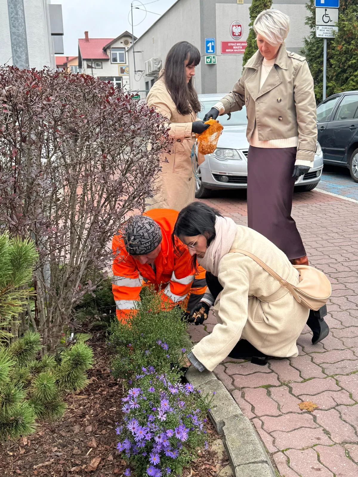 Cztery osoby sadzą rośliny i kwiaty w przyulicznym klombie obok chodnika. Trzy kobiety stoją i przykucają, jedna osoba w pomarańczowym ubraniu roboczym przykuca przy ziemi. Tło tworzą zaparkowane samochody i budynki miejskie.